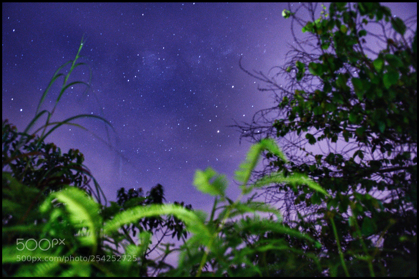 Nikon D7100 sample photo. Waiting for you... photography