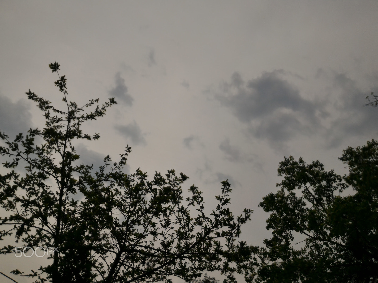ASUS ZenFone 2 (ZE551ML) sample photo. Jpeg photography