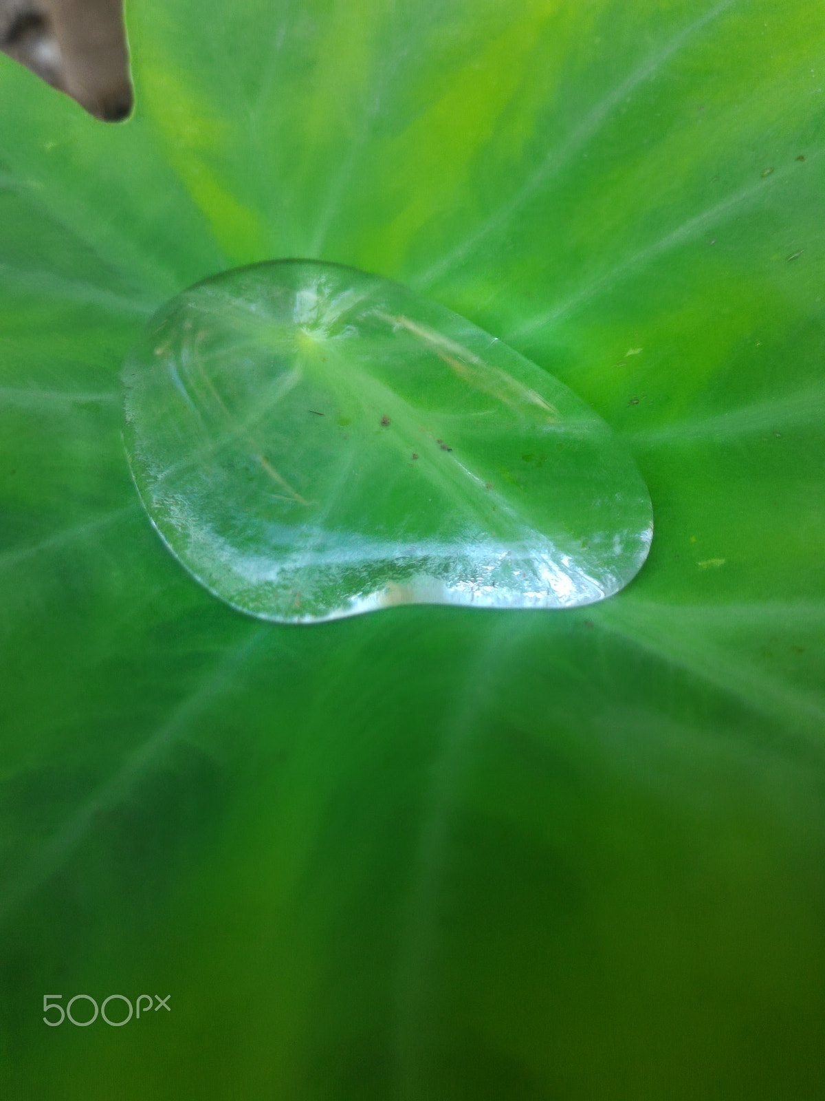 ASUS ZenFone 2 (ZE551ML) sample photo. Jpeg photography