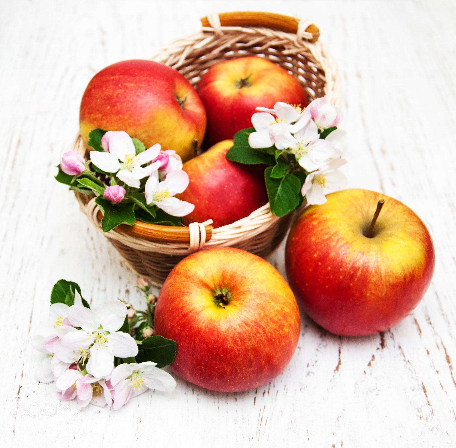 Nikon D90 sample photo. Apples and apple tree photography