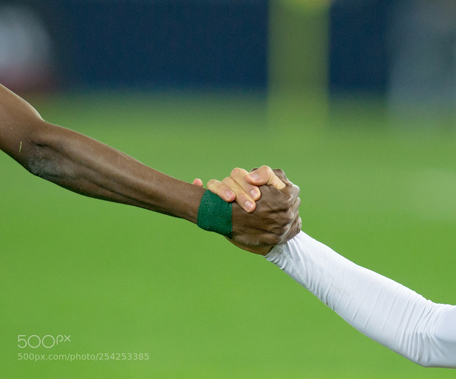 Canon EOS-1D X sample photo. No racism photography