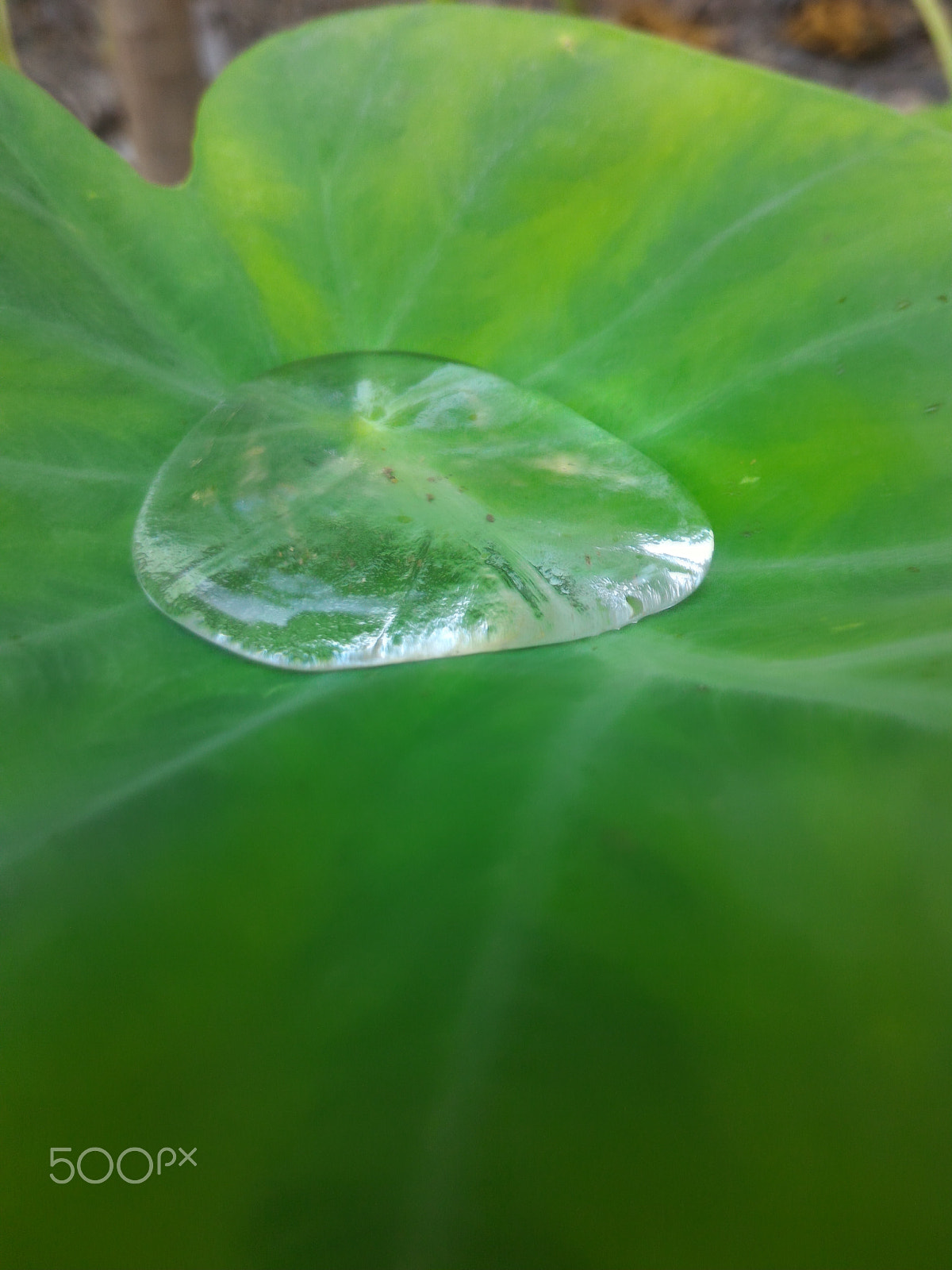 ASUS ZenFone 2 (ZE551ML) sample photo. Jpeg photography