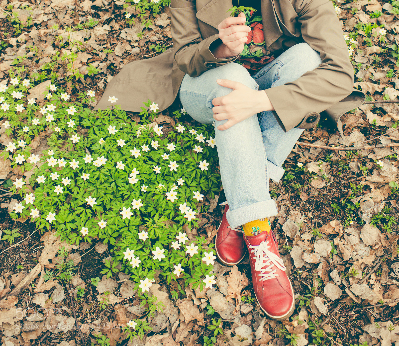 Nikon D800E sample photo. Spring time photography
