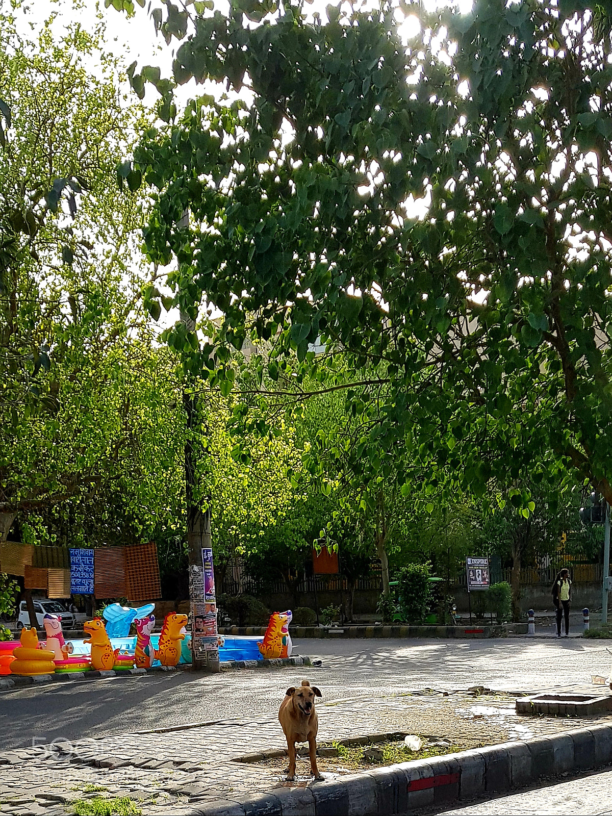 Samsung Galaxy S8 sample photo. Untitled photography