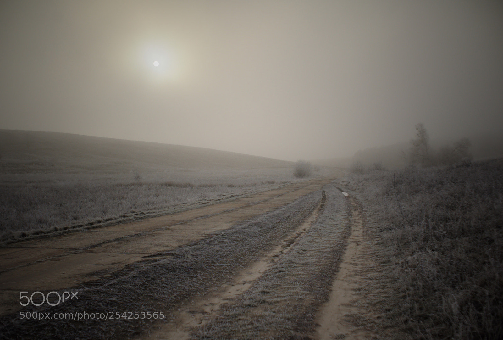 Nikon D700 sample photo. On the road photography