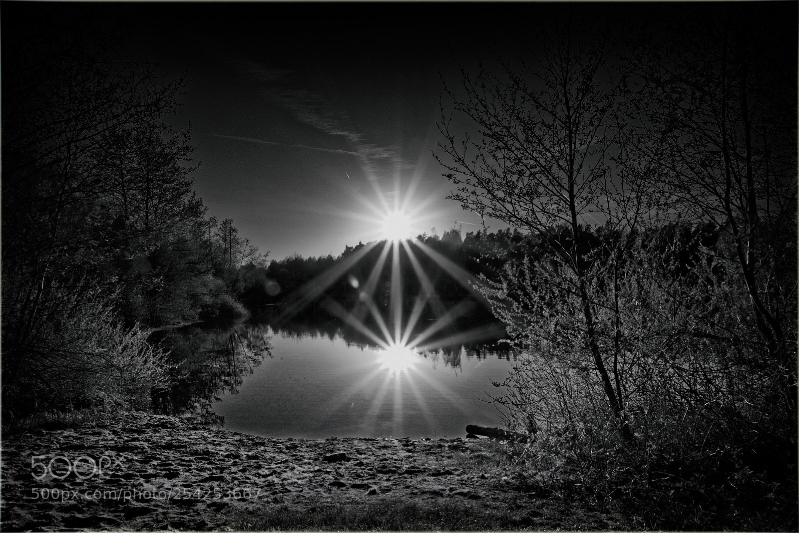 Nikon D610 sample photo. 2 suns photography