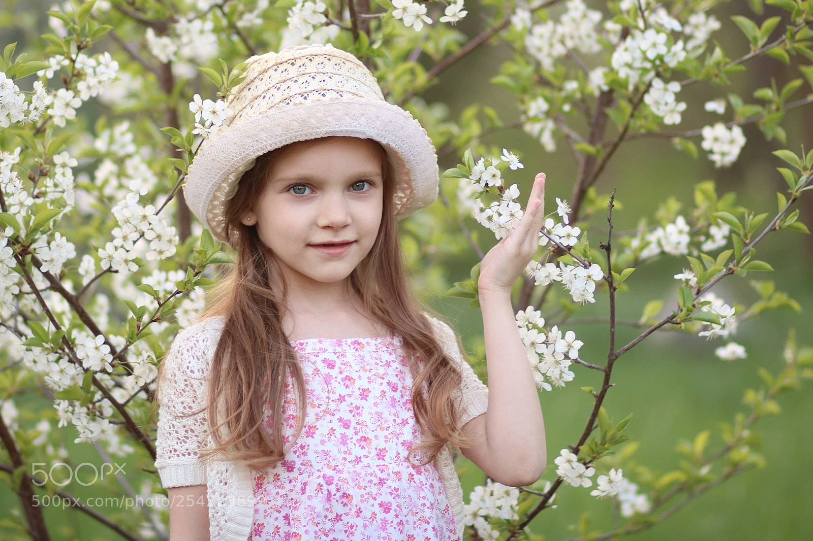 Canon EOS 750D (EOS Rebel T6i / EOS Kiss X8i) sample photo. Bloomimg tree photography