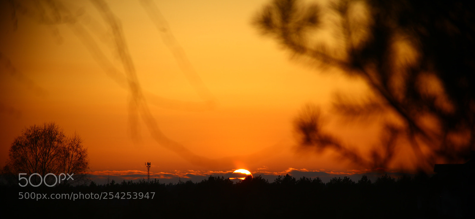 Canon EOS 5D Mark II sample photo. Gawrych ruda dadura foto photography