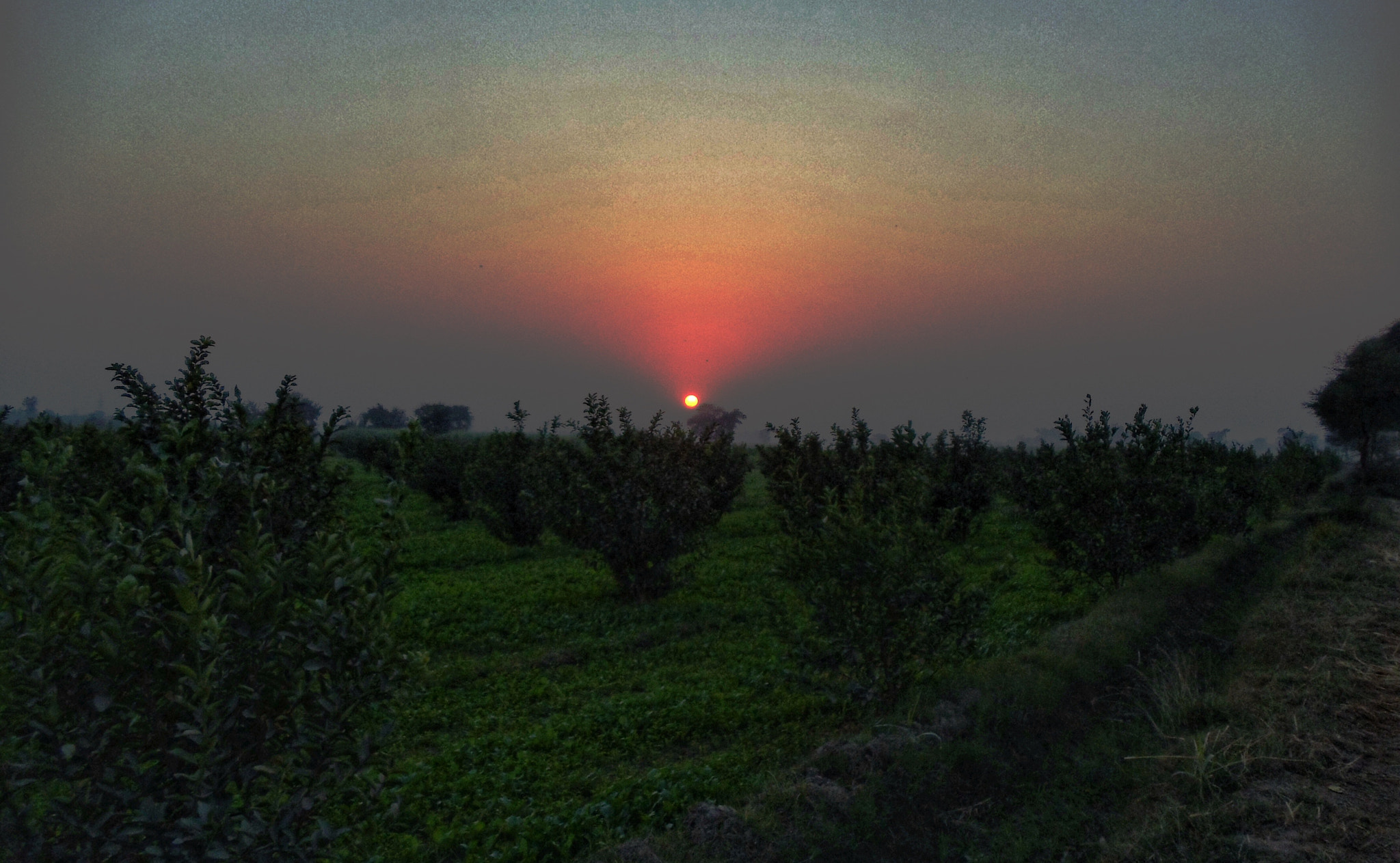 Sony Cyber-shot DSC-W370 sample photo. Beautiful sunset from my farmhouse photography