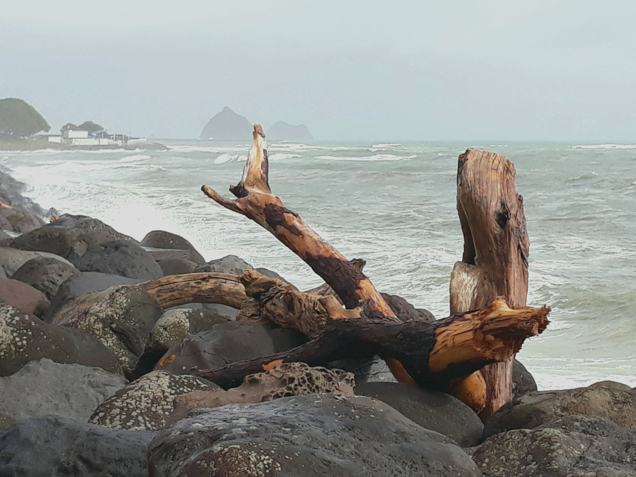 Samsung Galaxy J5 Pro sample photo. Washed up photography
