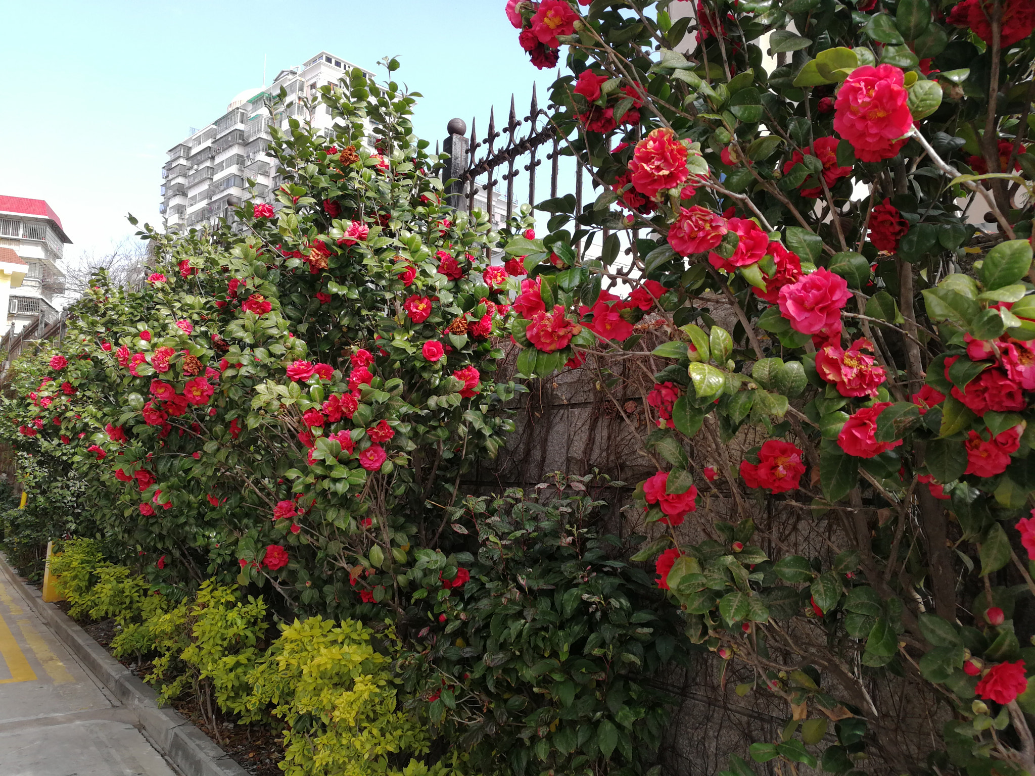 HUAWEI Honor V9 sample photo
