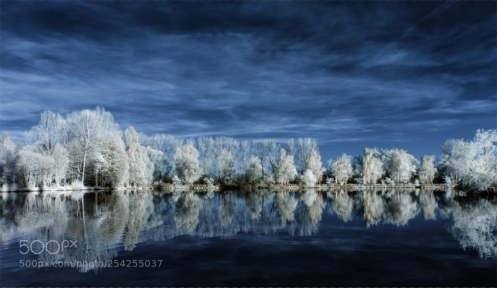 Canon EOS 500D (EOS Rebel T1i / EOS Kiss X3) sample photo. Infrared lake photography
