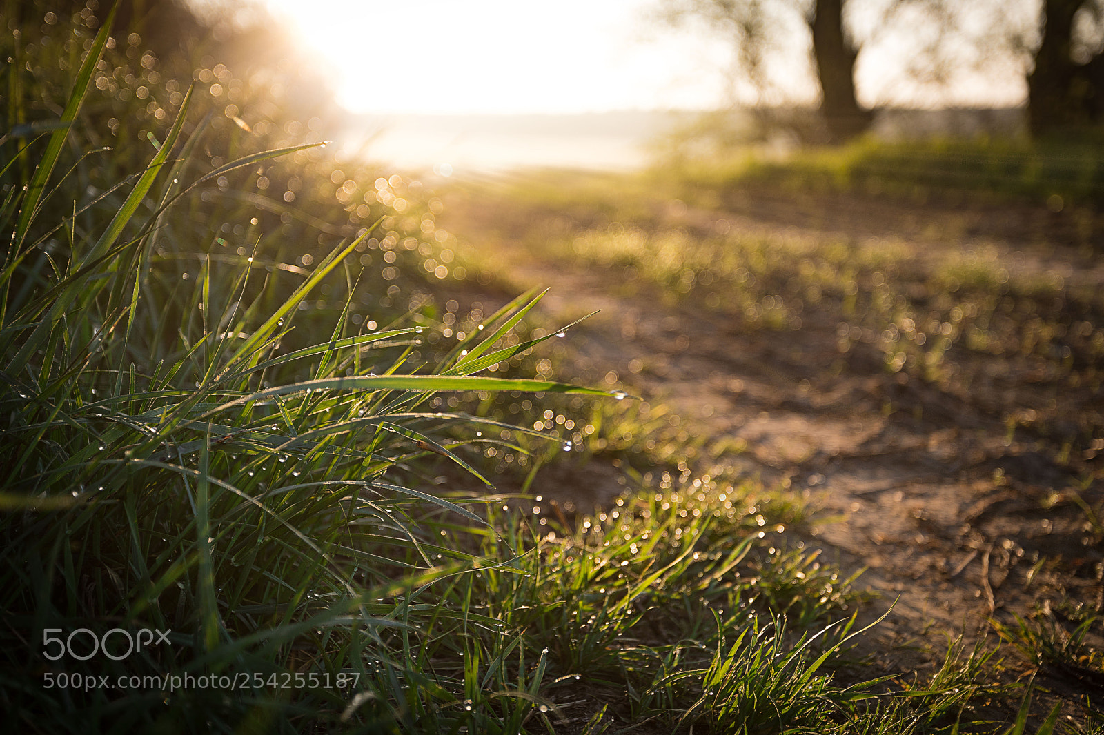 Canon EOS 5D Mark IV sample photo. Wonderful morning photography
