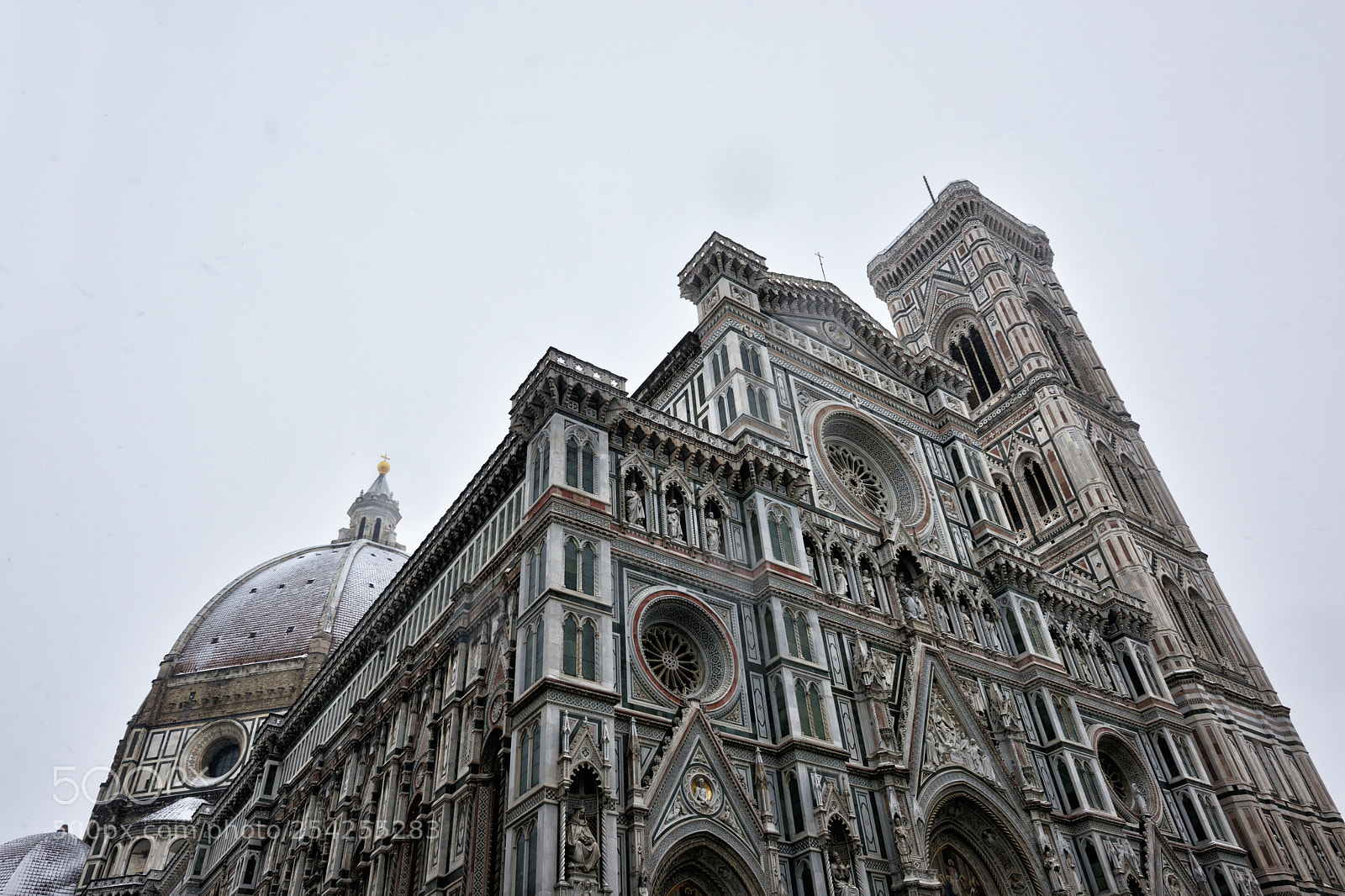 Nikon D810 sample photo. Florence white 01/03/2018 vi photography