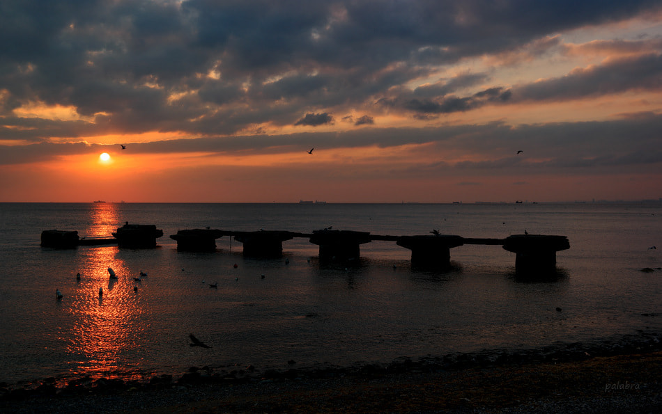 Samsung NX1 sample photo. ... photography