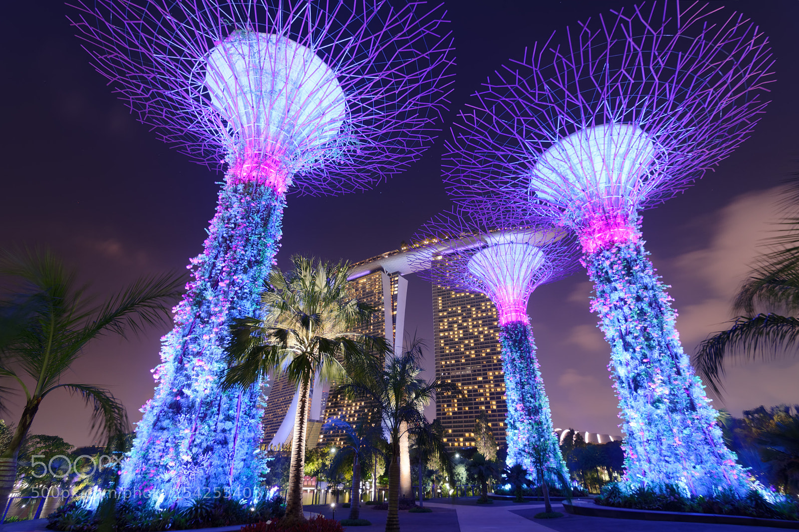 Nikon D7100 sample photo. Supertrees photography