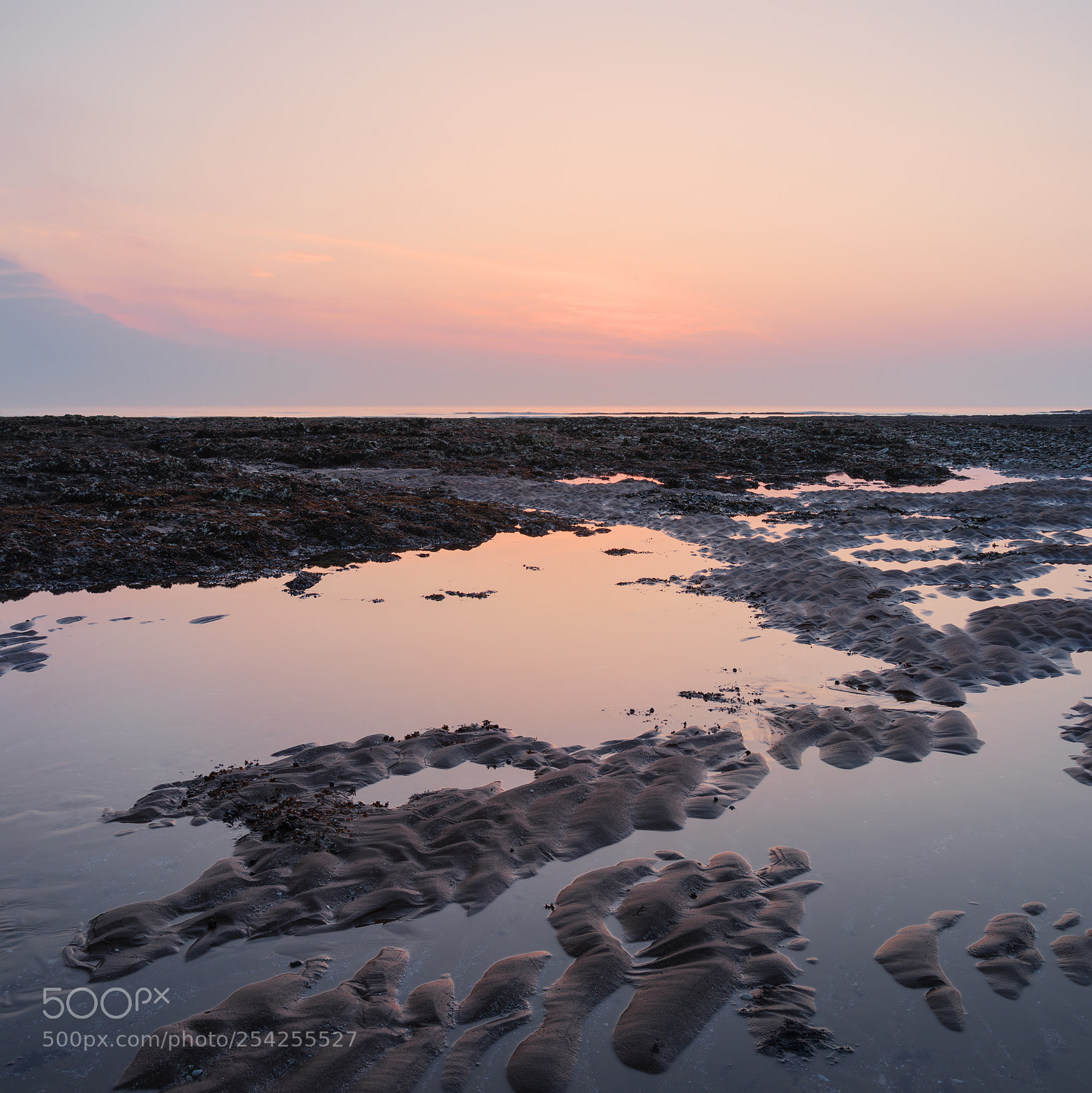 Nikon D800 sample photo. Beautiful colorful sunrise reflected photography