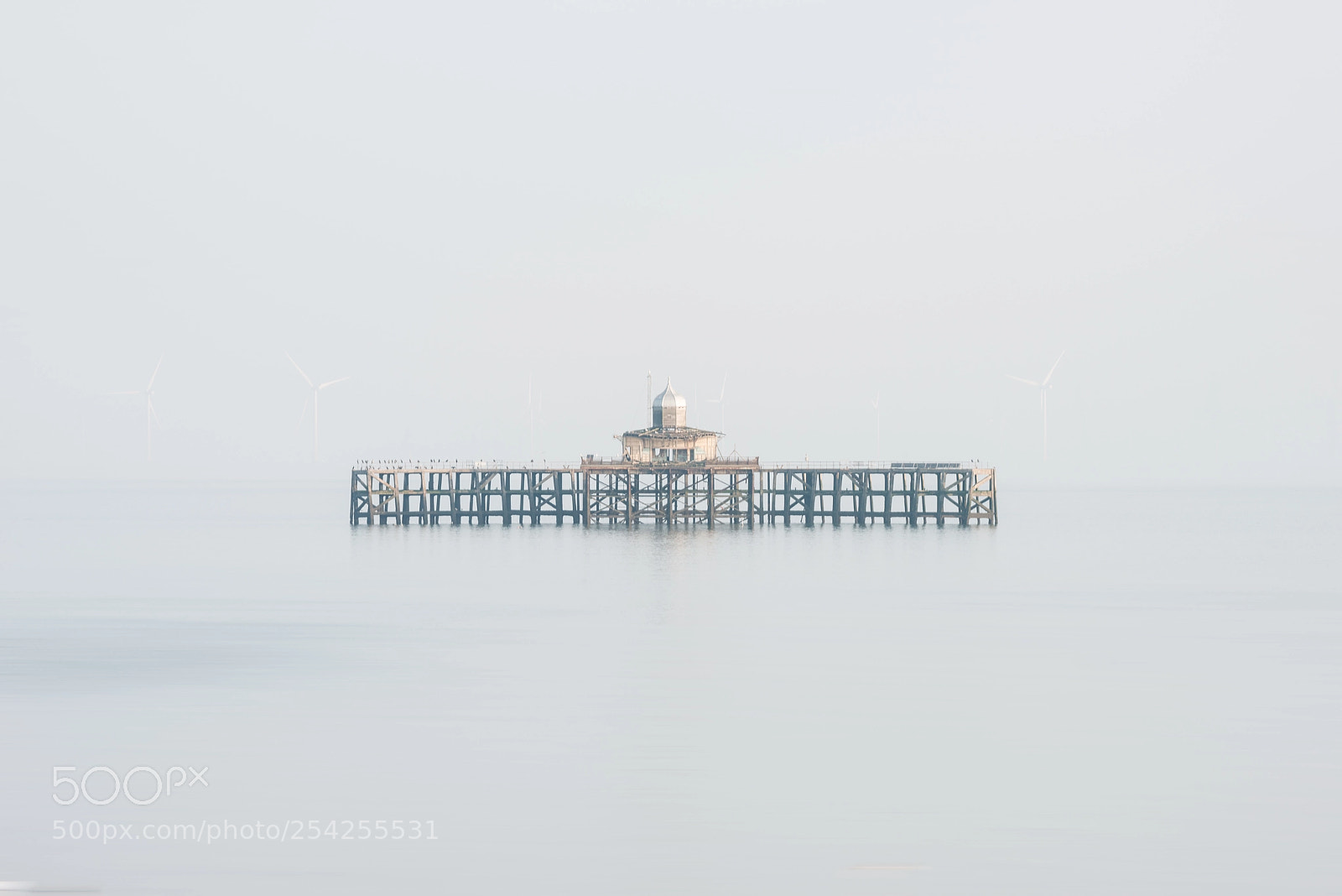Nikon D800 sample photo. Fine art minimalist image photography