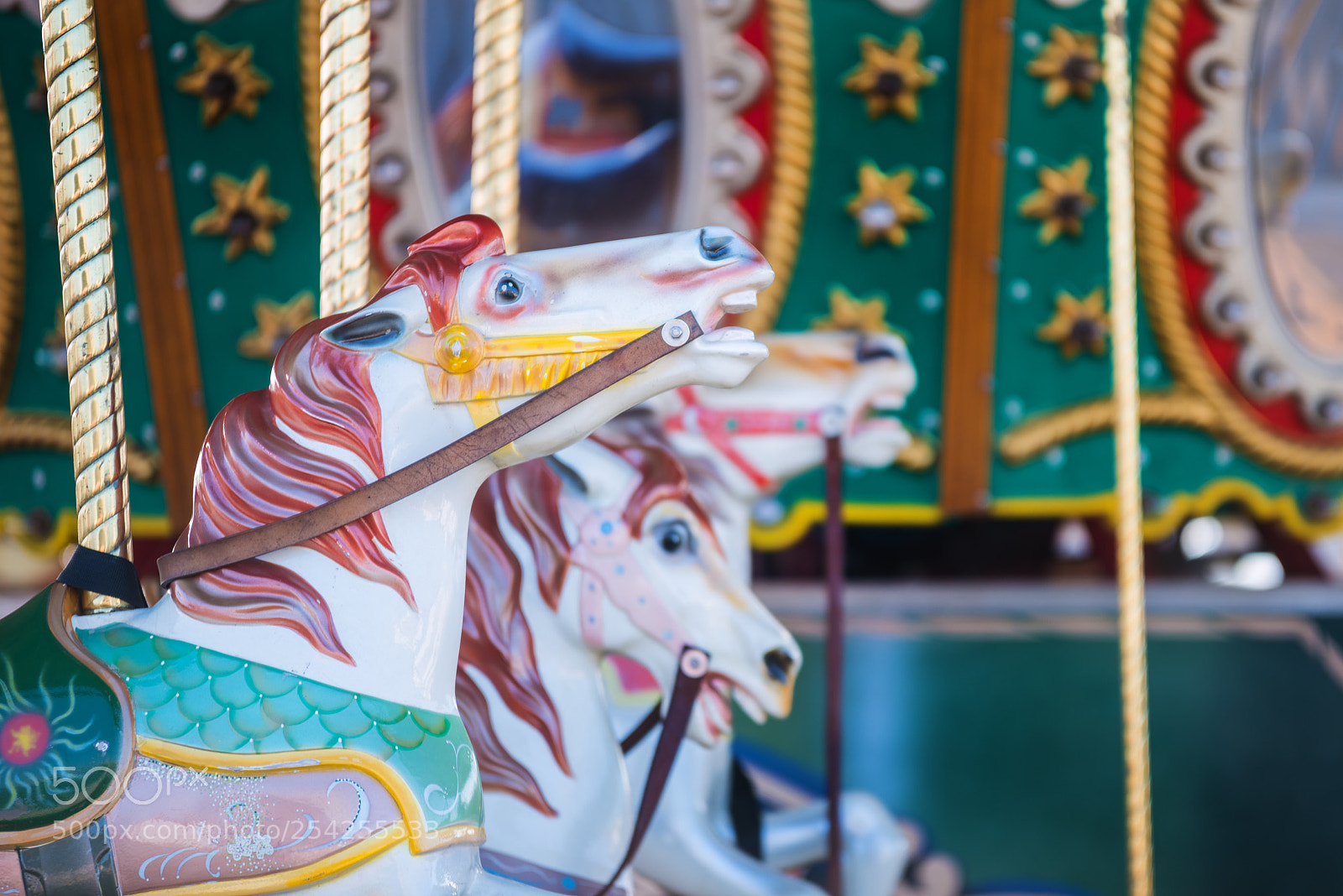 Nikon D800 sample photo. Beautiful nostalgic colorful vintage photography