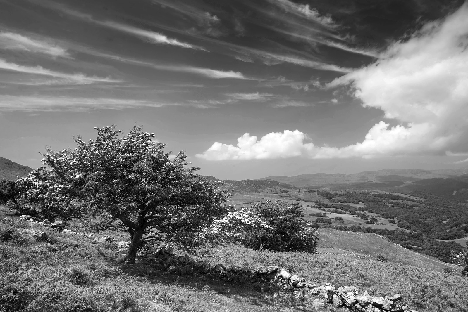 Nikon D600 sample photo. Black and white landscape photography