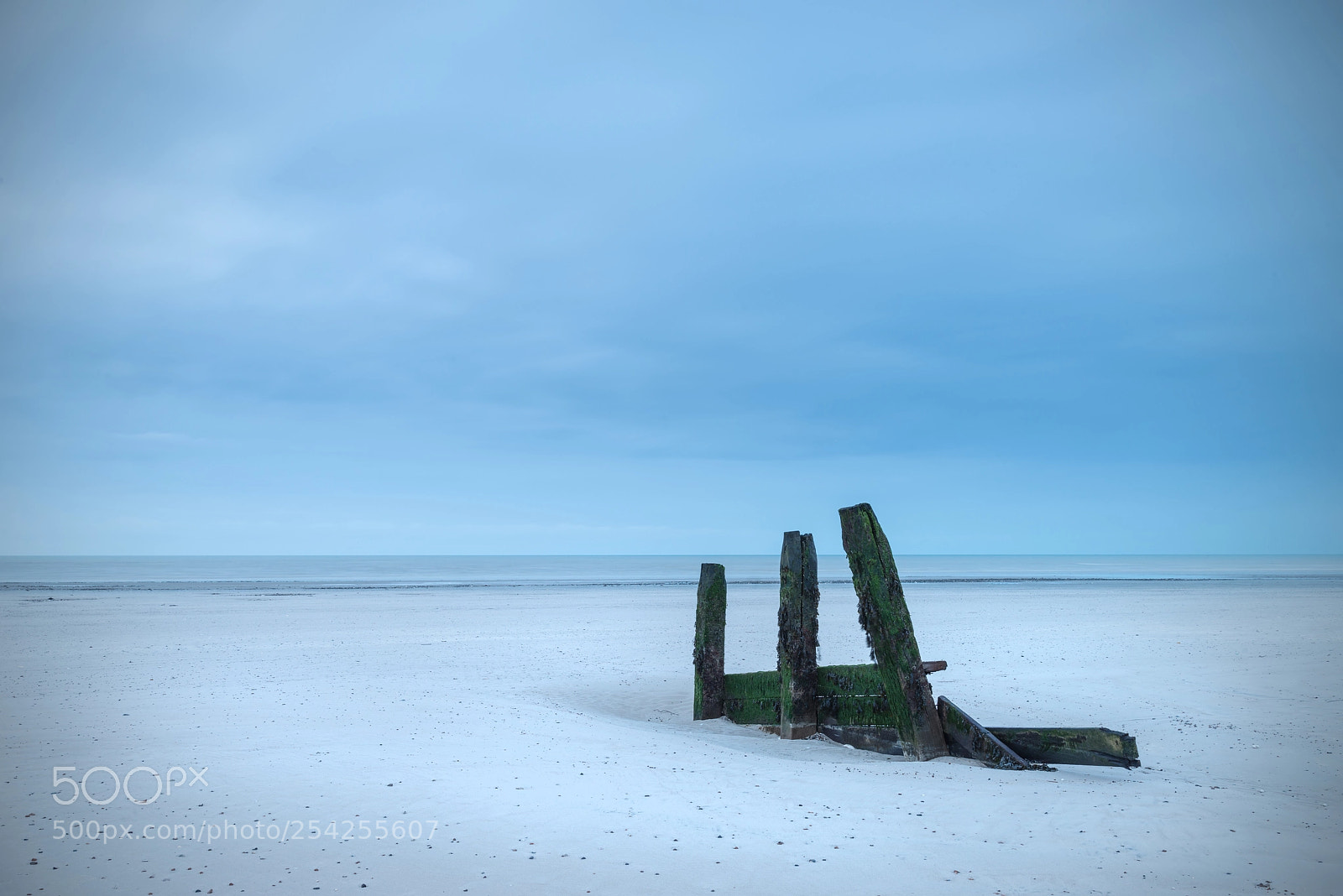 Nikon D800 sample photo. Moody landscape of empty photography