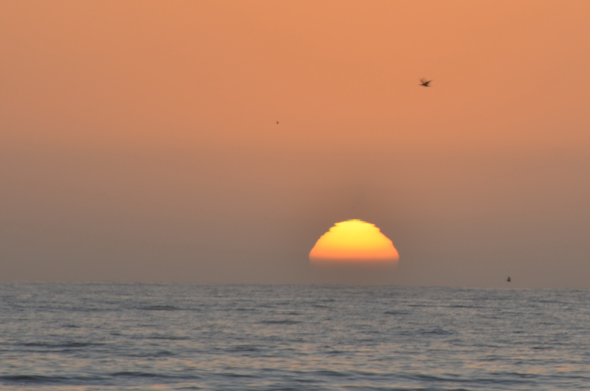 Nikon D5100 sample photo. Sunset over the ocean photography