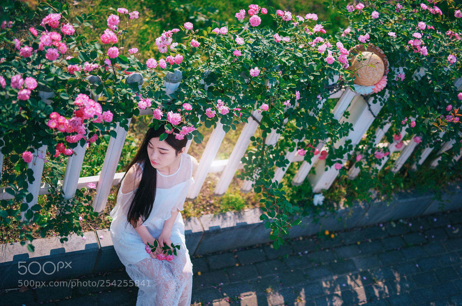 Nikon D810 sample photo. Scent of the spring photography