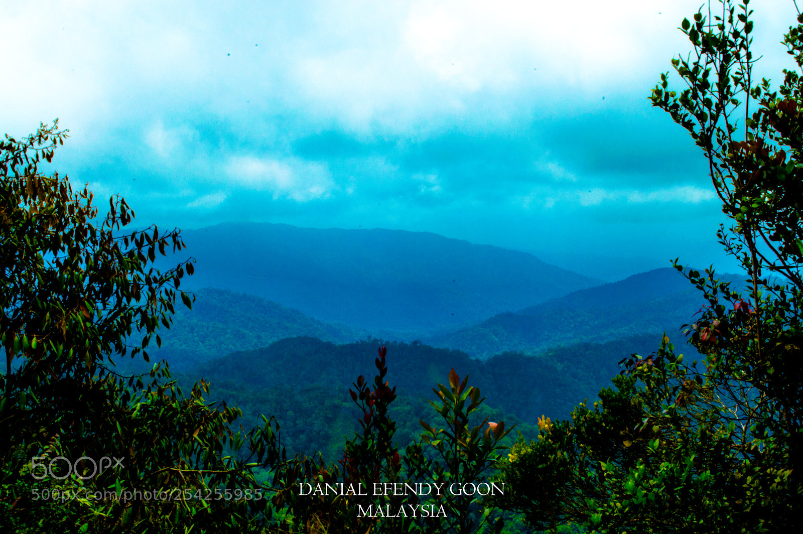 Nikon D3200 sample photo. Mount pine tree mount photography