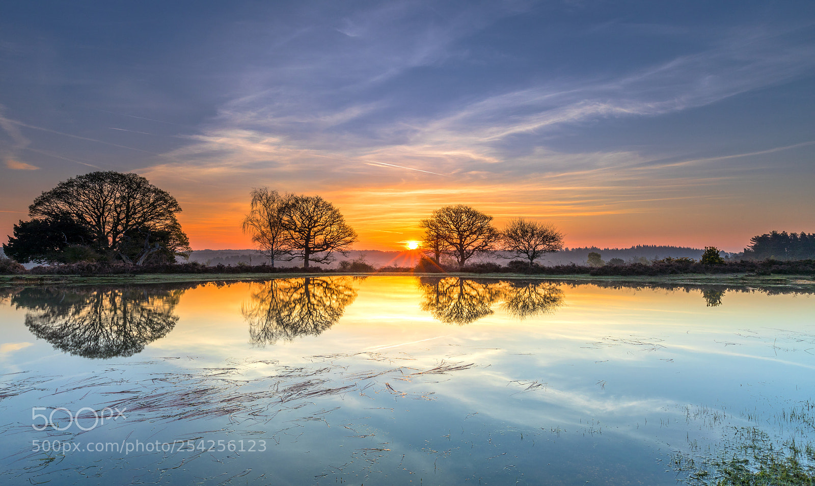 Canon EOS 5D Mark IV sample photo. Mogshade sunrise photography