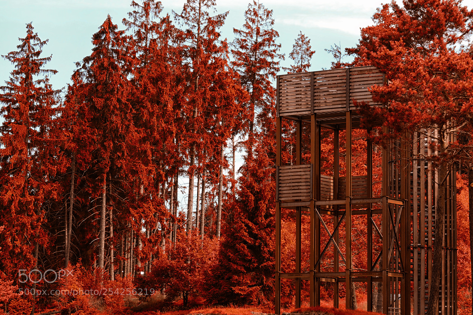 Canon EOS 7D Mark II sample photo. Steeltower photography