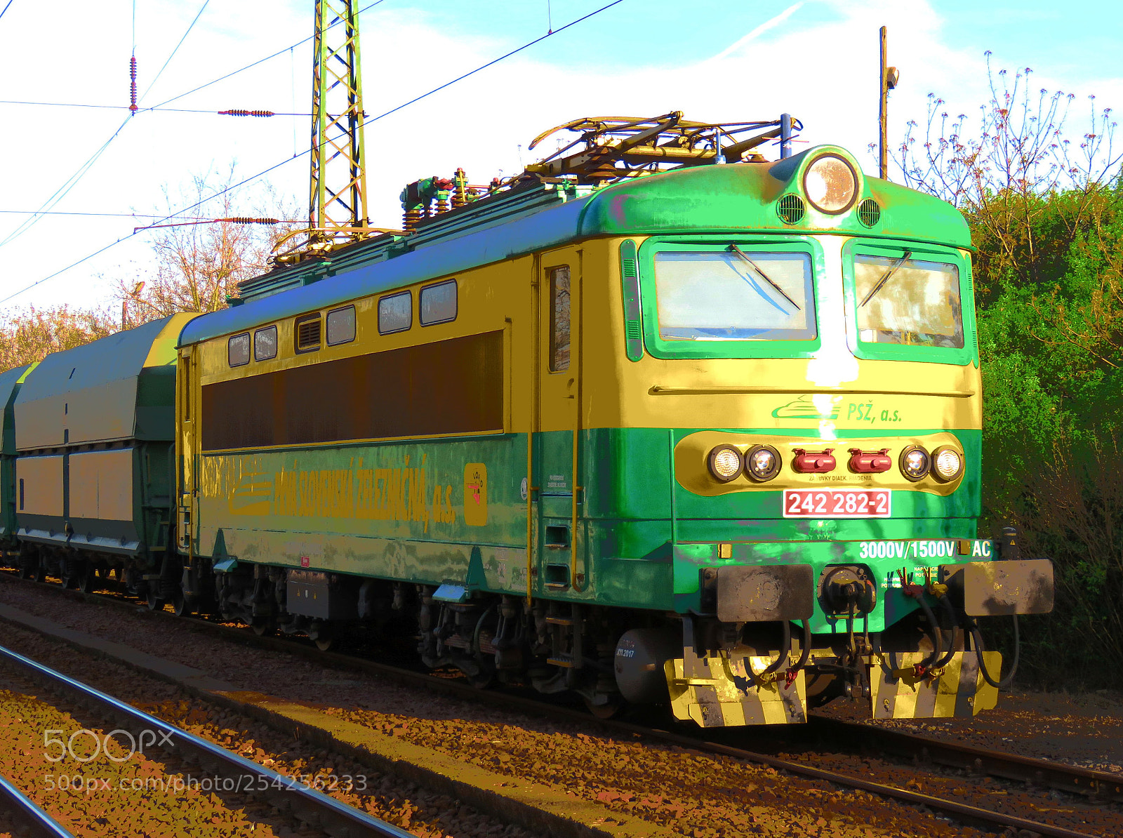 Canon PowerShot SX60 HS sample photo. Yellow-green rest photography