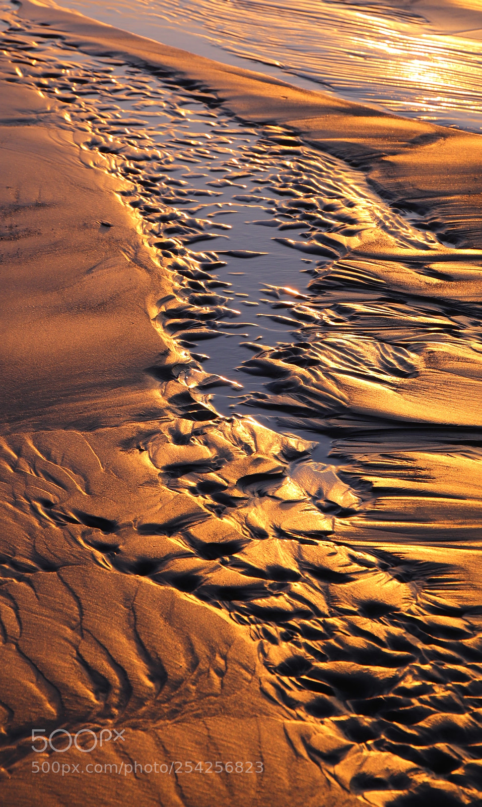 Canon EOS 200D (EOS Rebel SL2 / EOS Kiss X9) sample photo. Sunset sand art photography