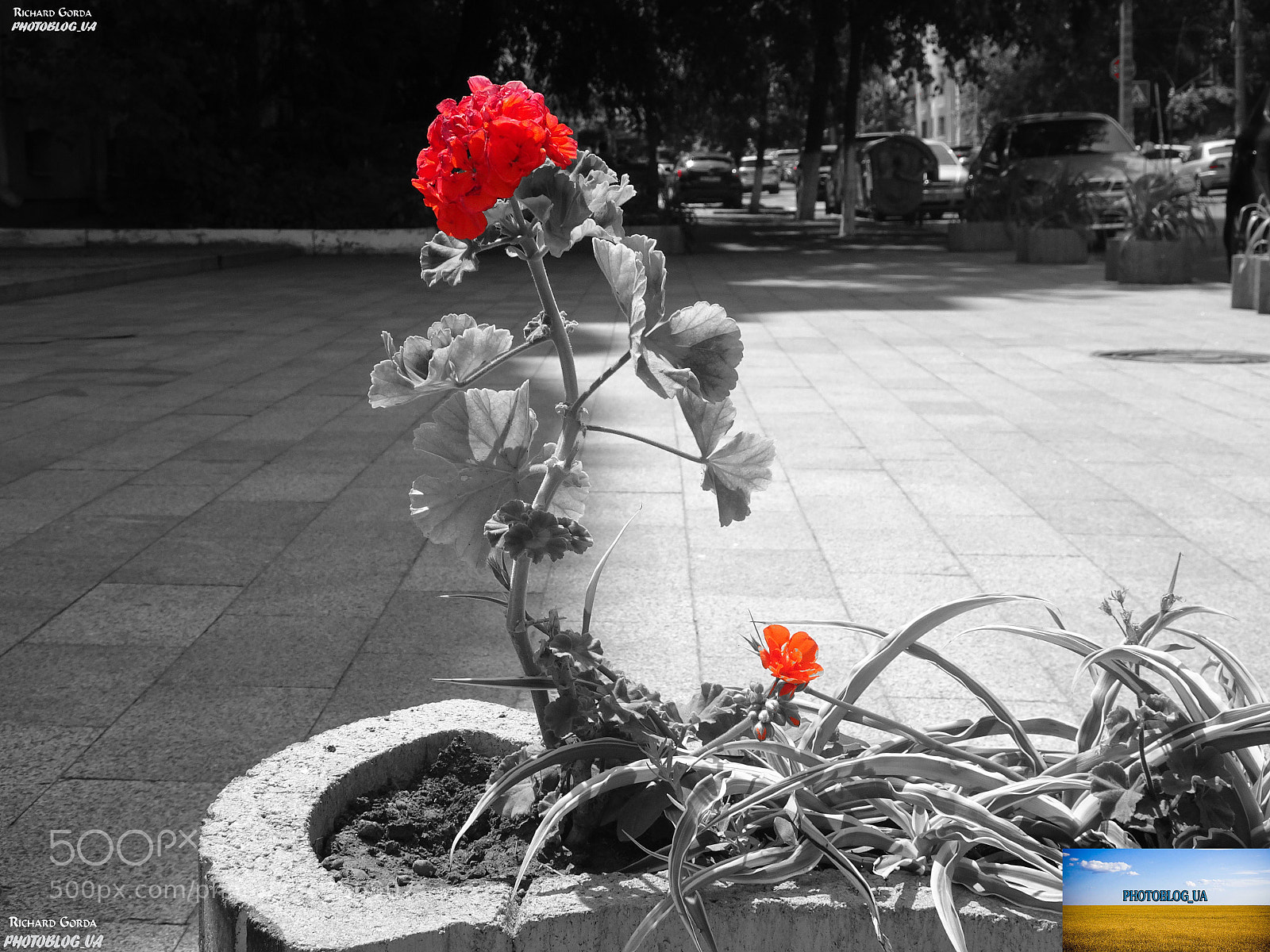 Sony DSC-HX90 sample photo. Untitled photography