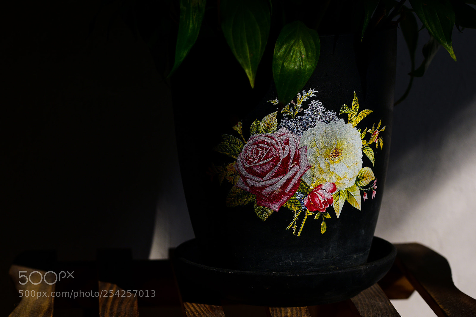 Nikon D810 sample photo. Flowerpot photography