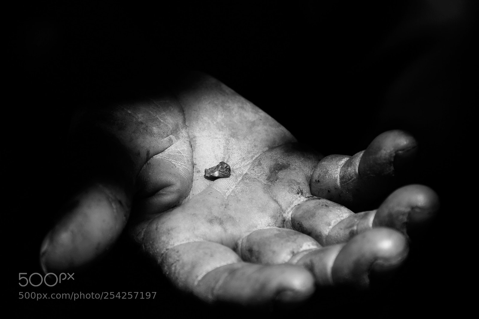 Canon EOS 550D (EOS Rebel T2i / EOS Kiss X4) sample photo. Worker hand photography