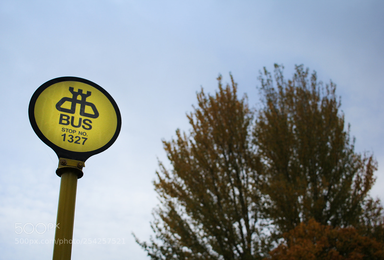 Canon EOS 60D sample photo. Bus stop photography