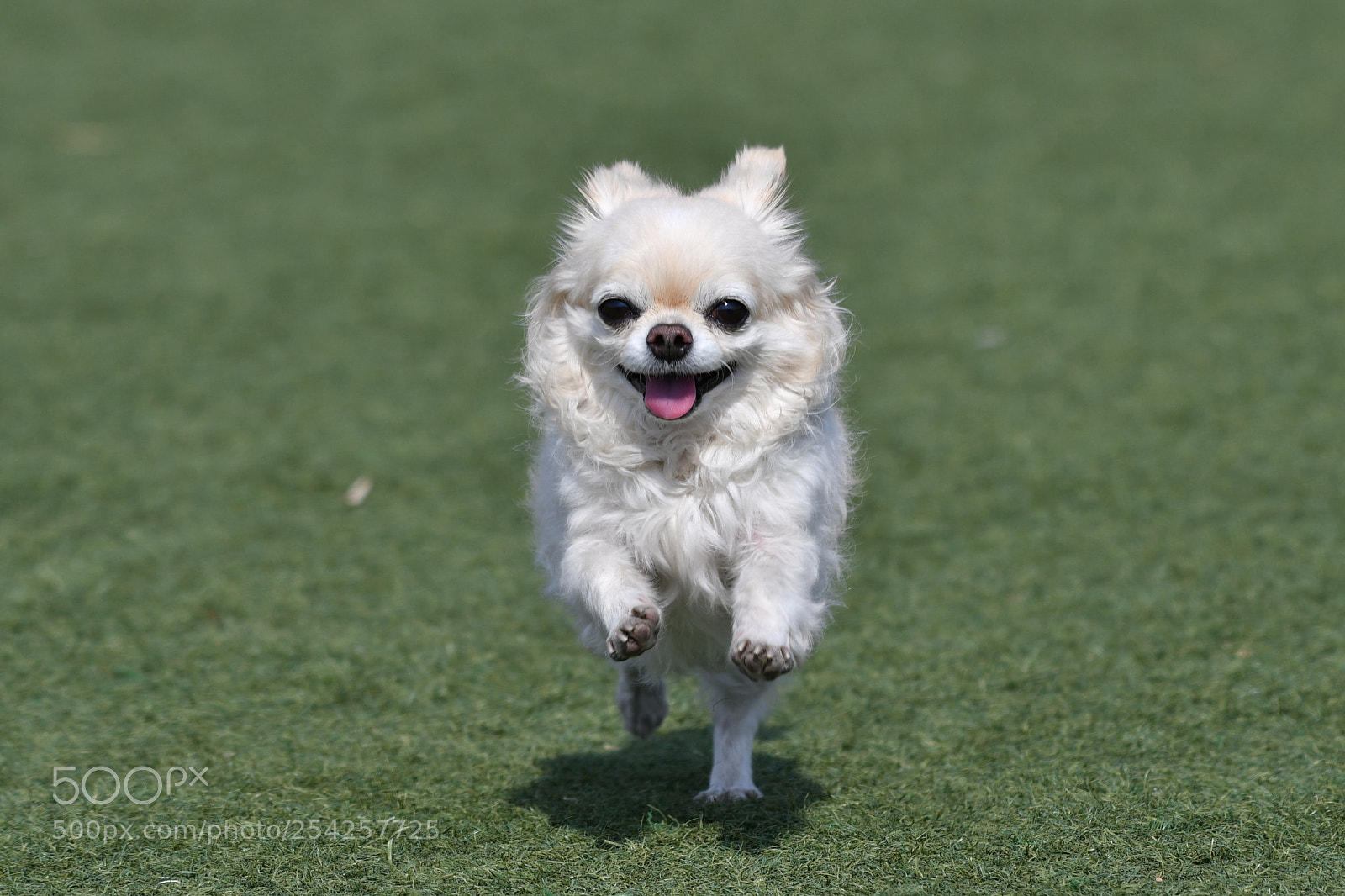 Nikon D500 sample photo. Ccc사본 dsc photography