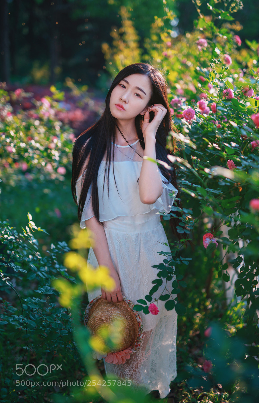 Nikon D810 sample photo. Scent of the spring photography
