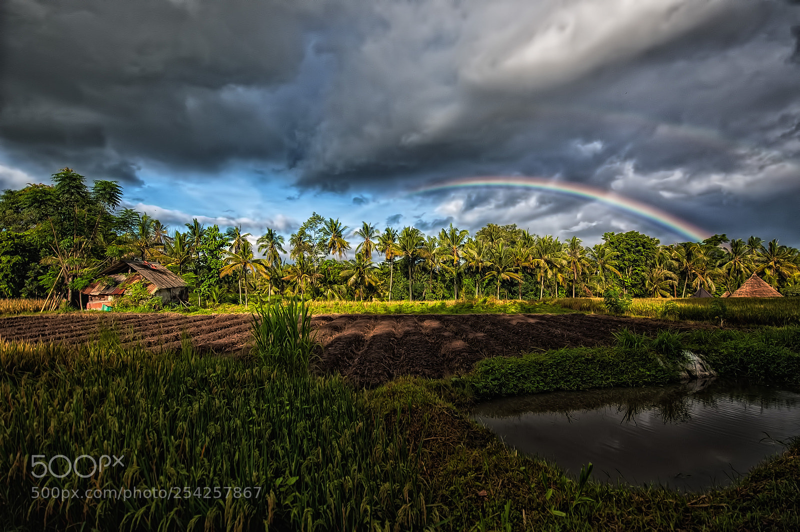 Nikon D700 sample photo. Rainbow flash photography