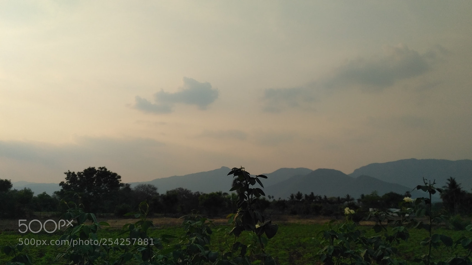 Xiaomi Redmi 3S sample photo. Img_20180414_173313.jpg photography