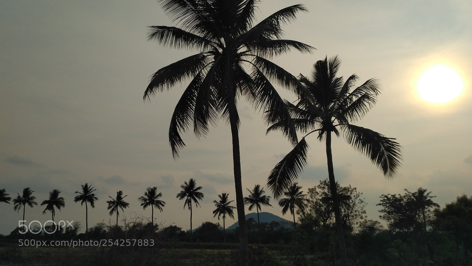 Xiaomi Redmi 3S sample photo. Img_20180414_170316.jpg photography