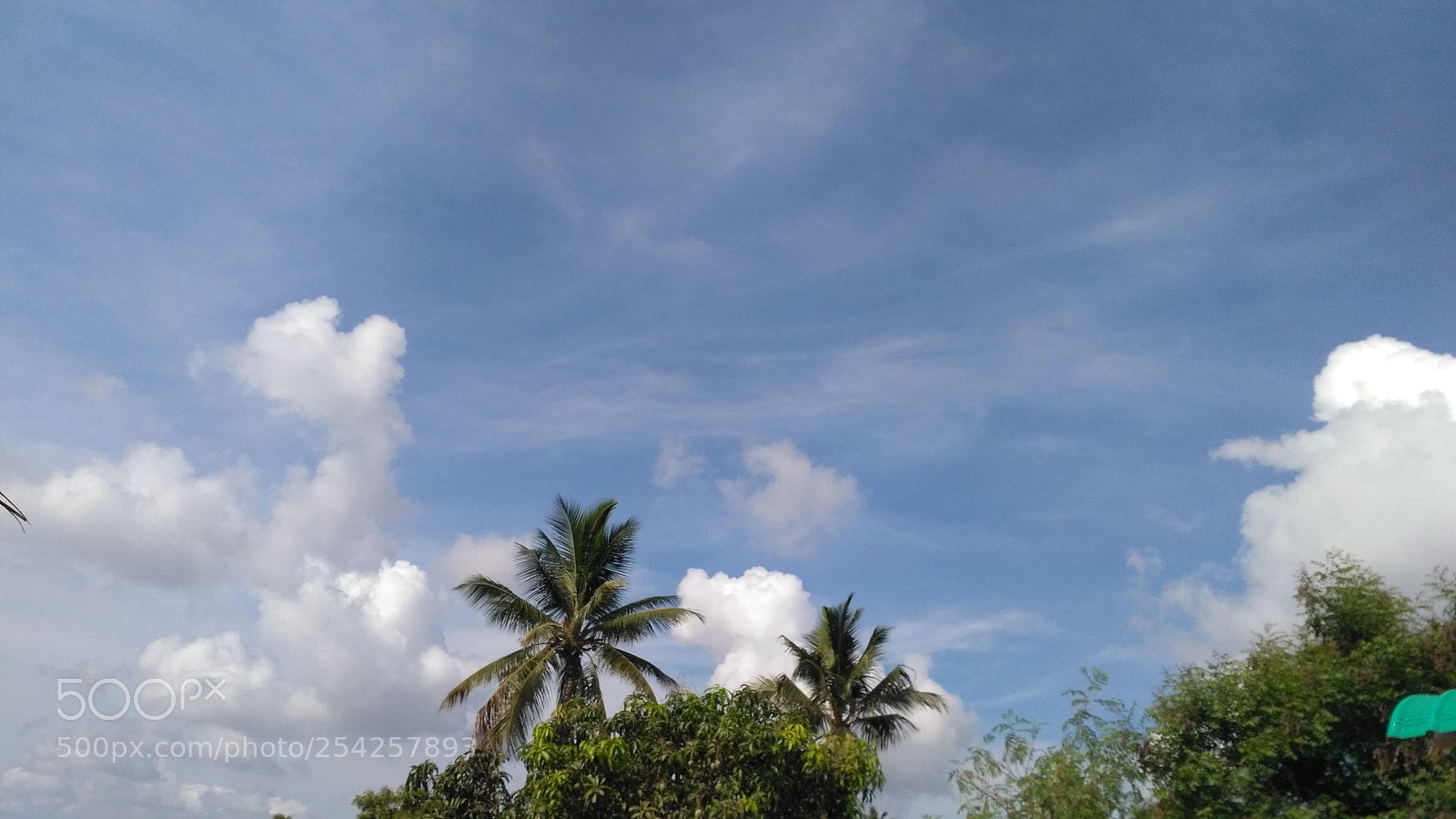 Xiaomi Redmi 3S sample photo. Img_20180416_084422.jpg photography