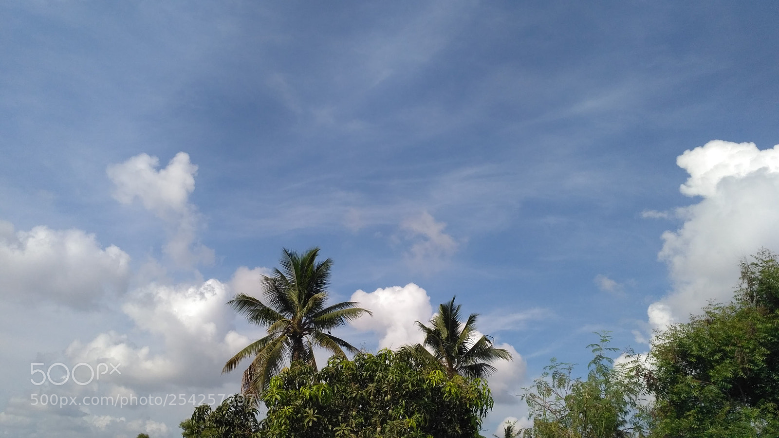 Xiaomi Redmi 3S sample photo. Img_20180416_084521.jpg photography
