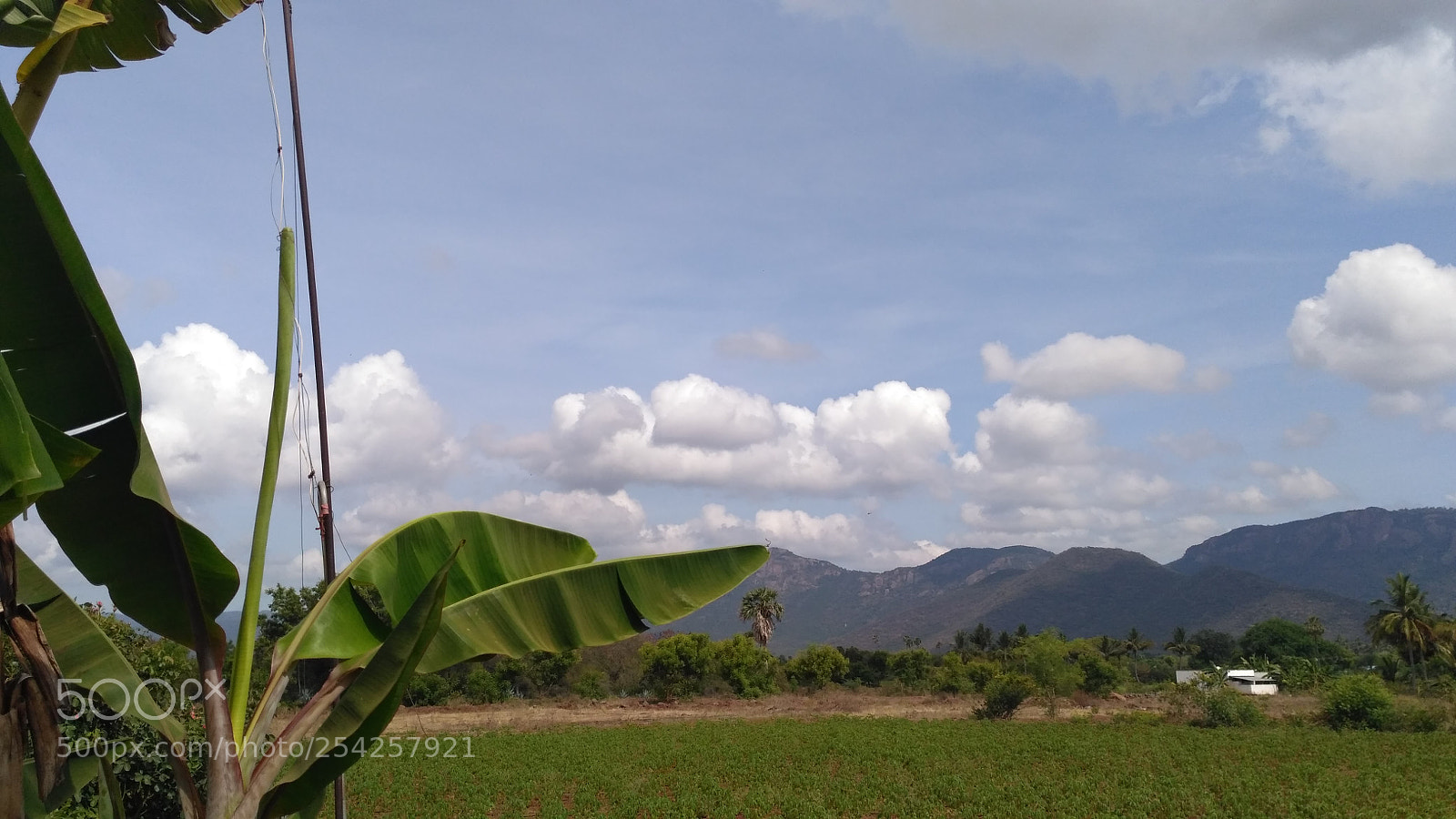 Xiaomi Redmi 3S sample photo. Img_20180417_093406.jpg photography