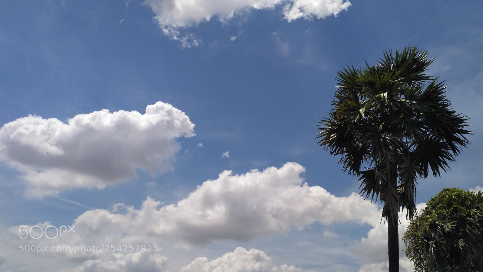 Xiaomi Redmi 3S sample photo. Img_20180416_110320.jpg photography