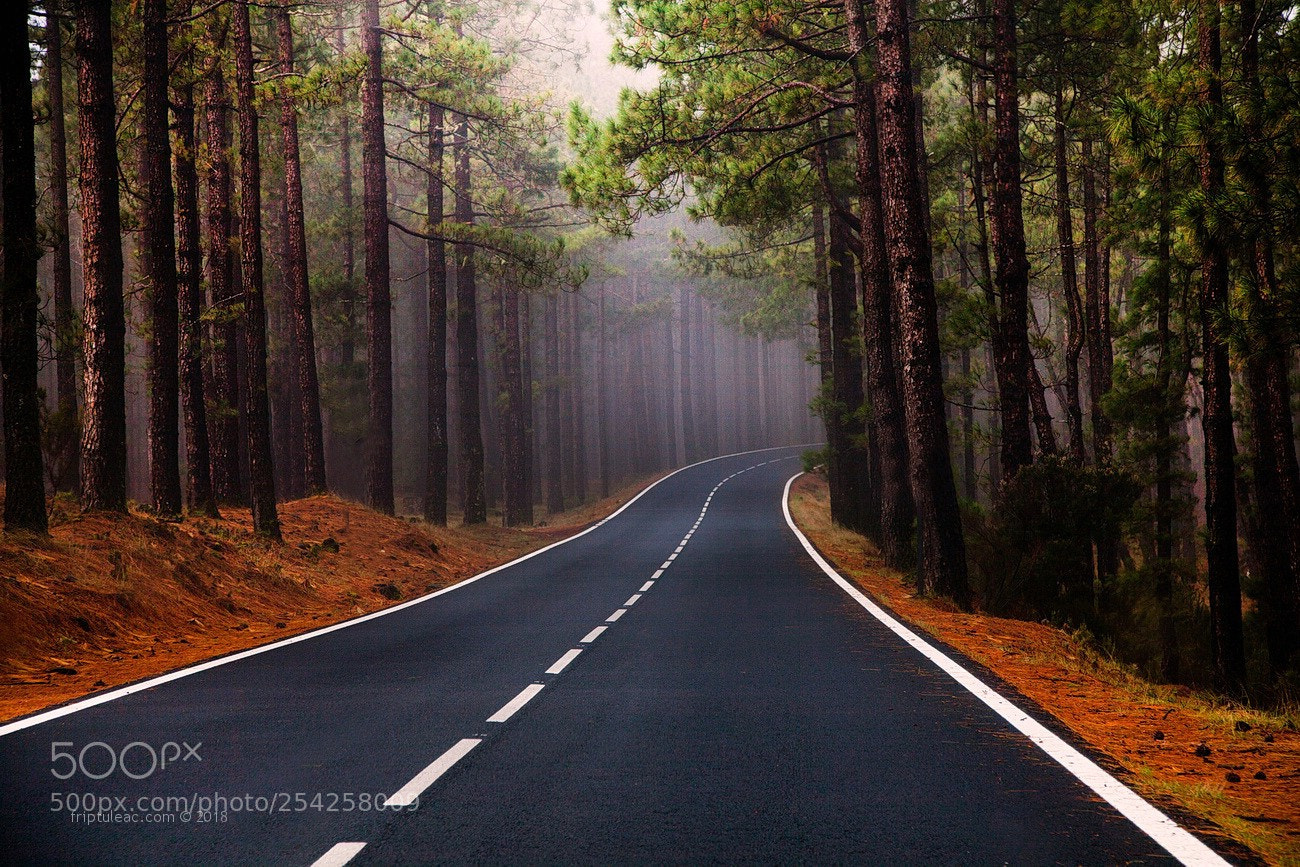 Canon EOS 5D Mark II sample photo. Road to teide photography