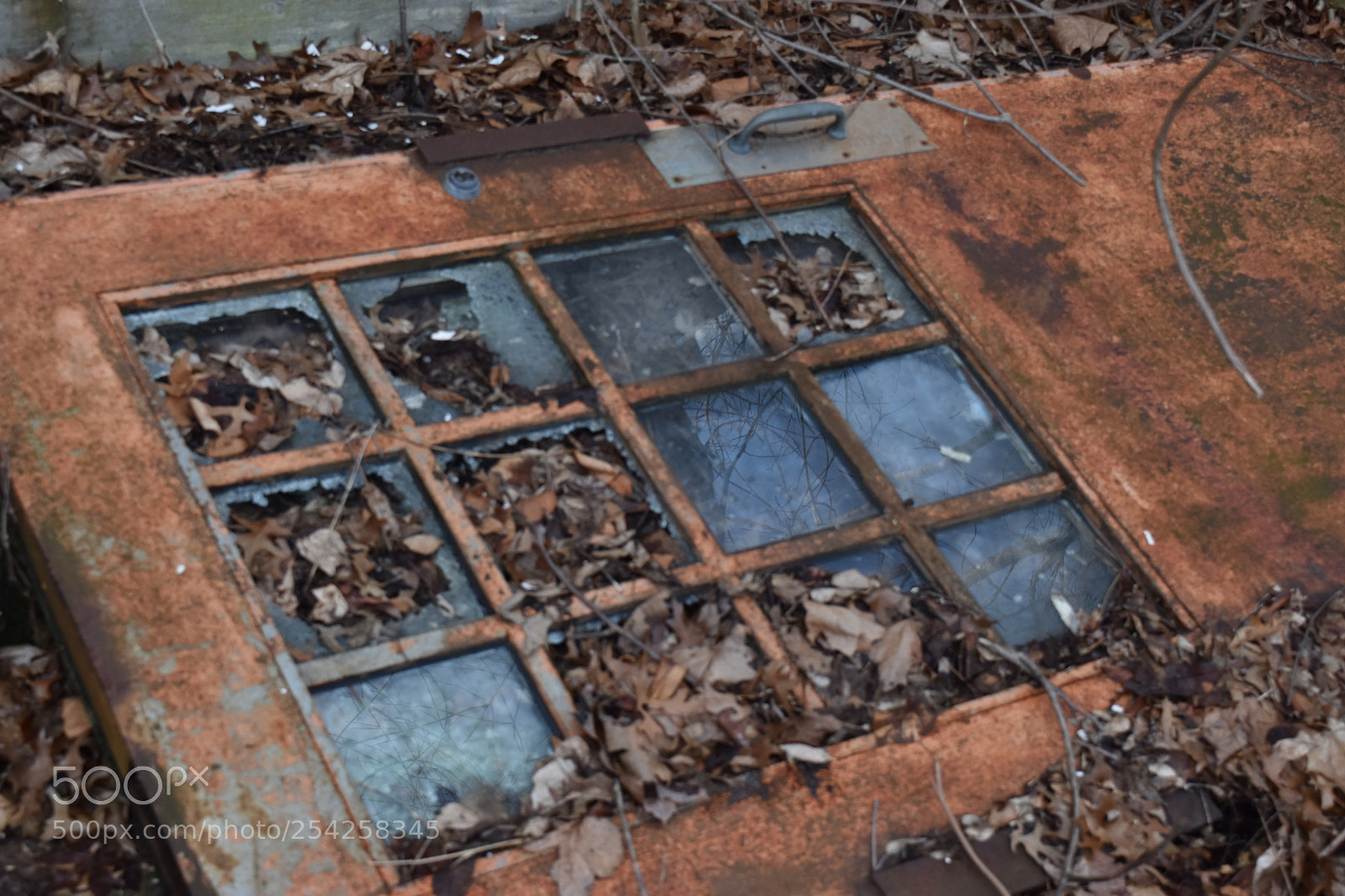 Nikon D5500 sample photo. To where? photography