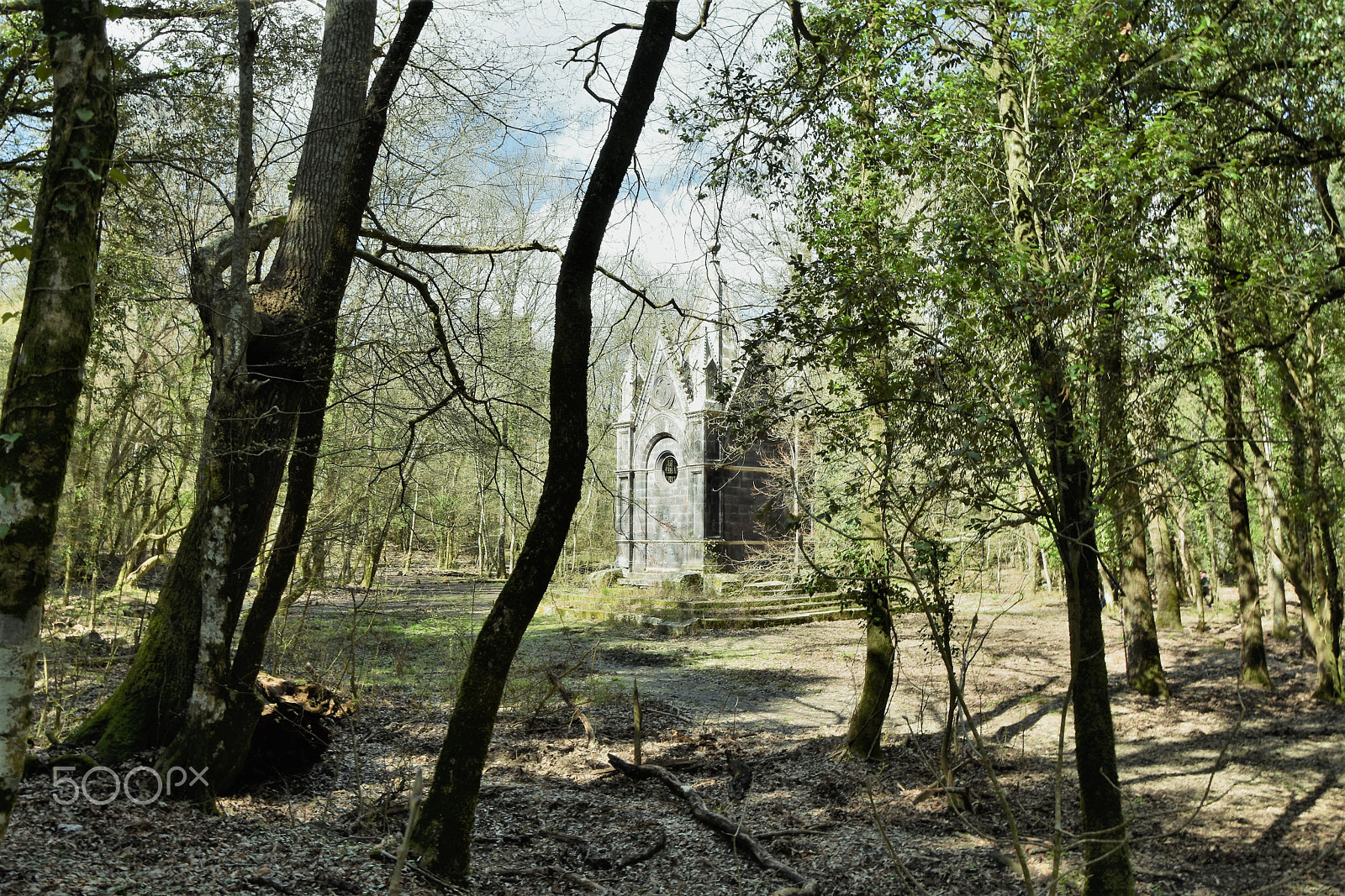 Nikon D5500 sample photo. Villages and woods photography