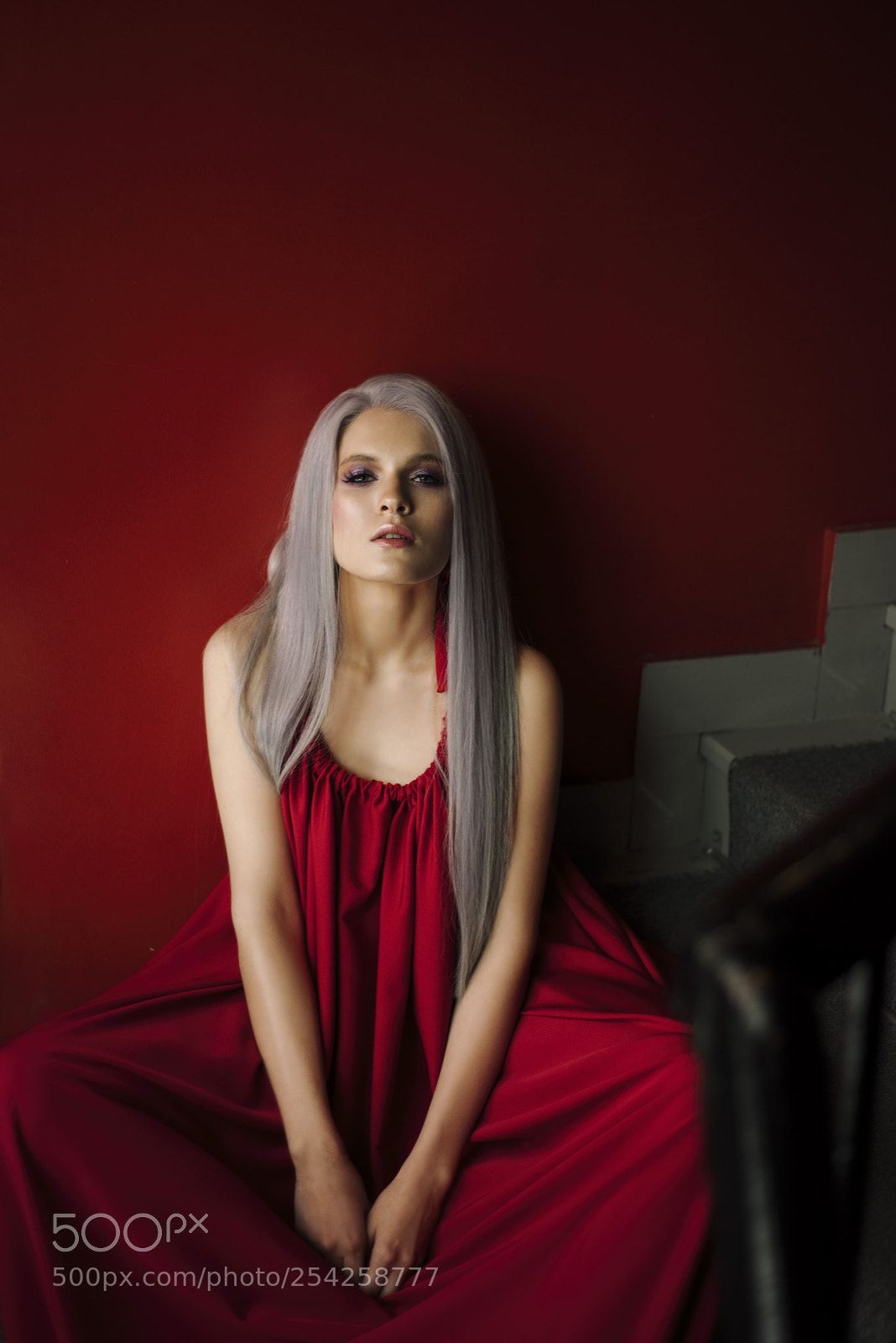Nikon D810 sample photo. Red wall photography