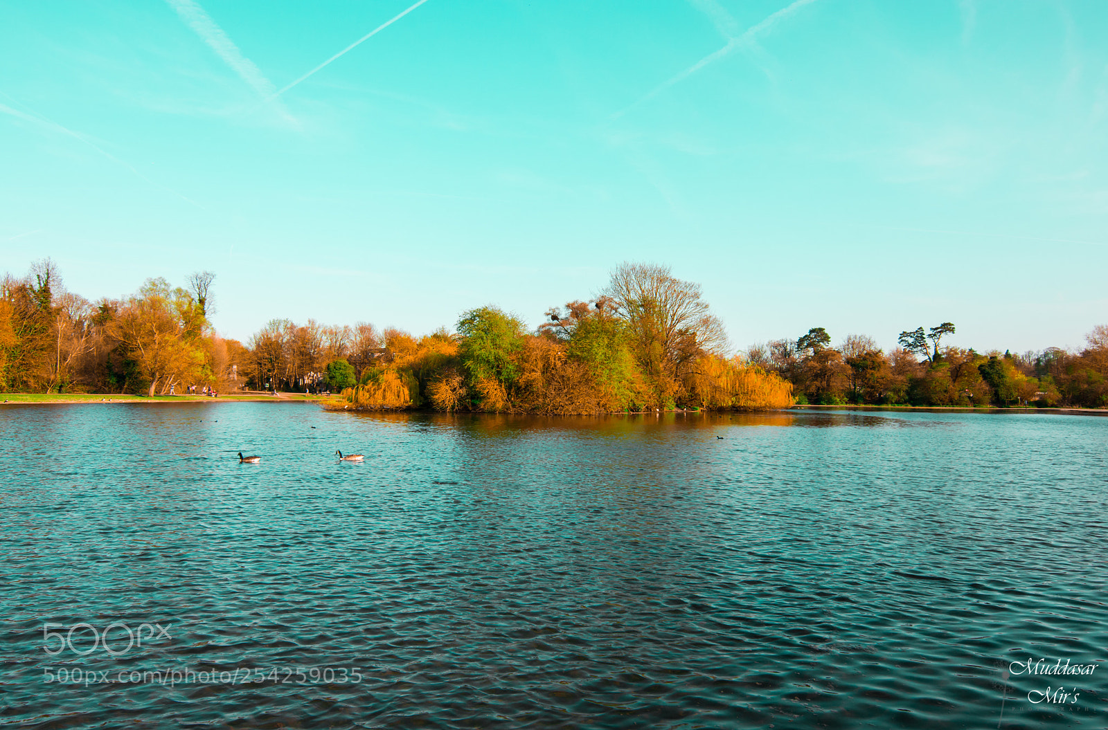 Nikon D7200 sample photo. Untitled photography